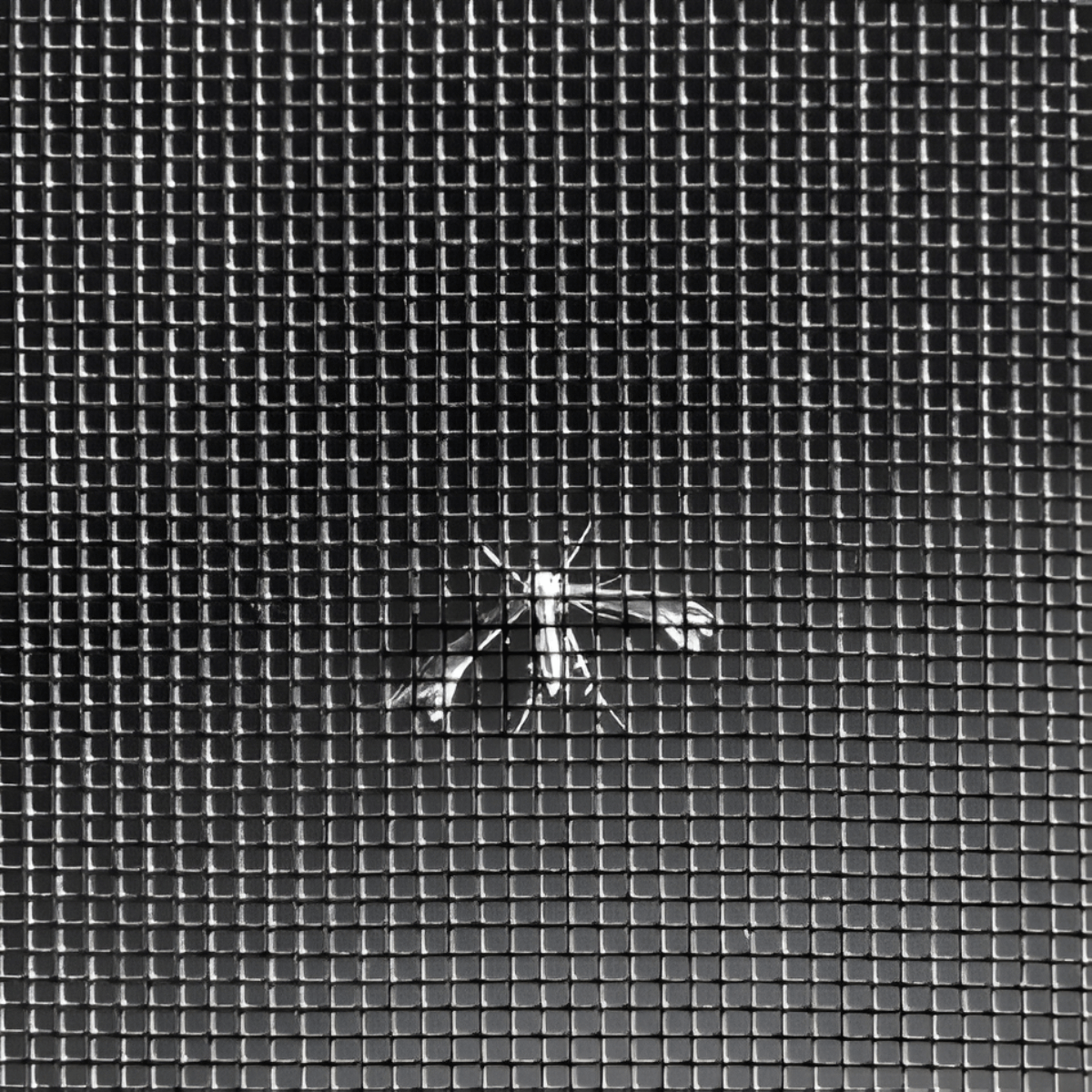 MALLA MOSQUITERA GALVANIZADA 1.20 ANCHO