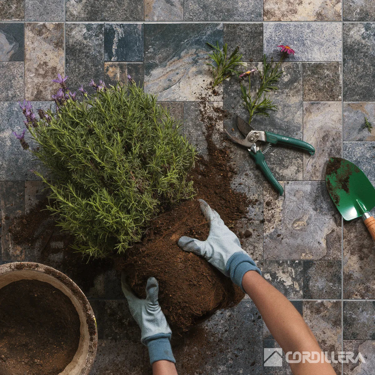 CERAMICA SWING GRIS 61X61 2.52MTS2