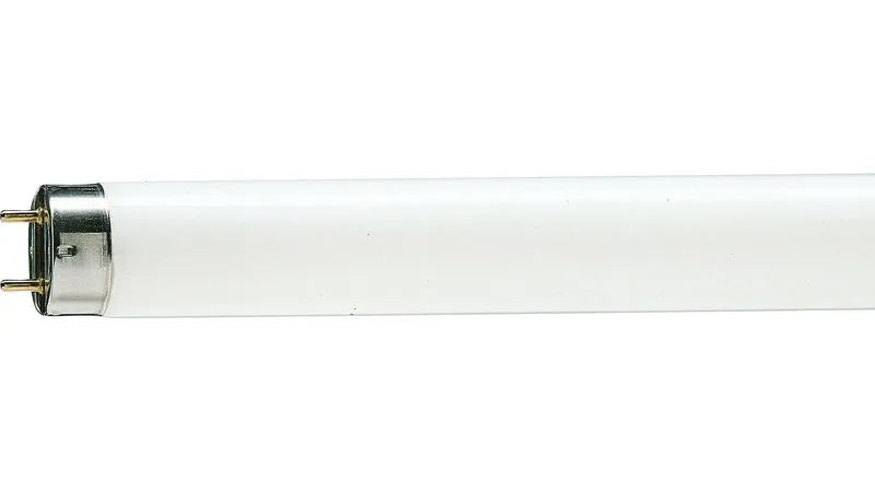 TUBO FLUORESCENTE 36W LARGO