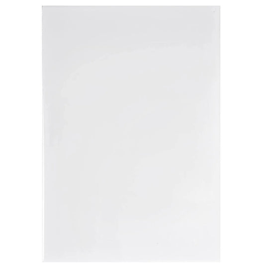 CERAMICA MURO BLANCA BRILLANTE 20X30 CJ 1,5 M2