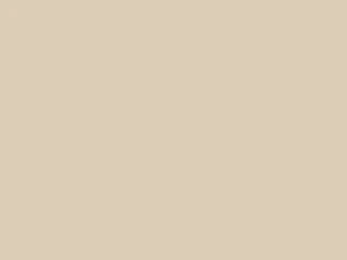 FRAGUE BEIGE 1 KILO