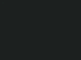 FRAGUE NEGRO 1 KILO