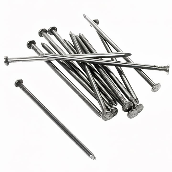 CLAVO CORRIENTE 5 KG