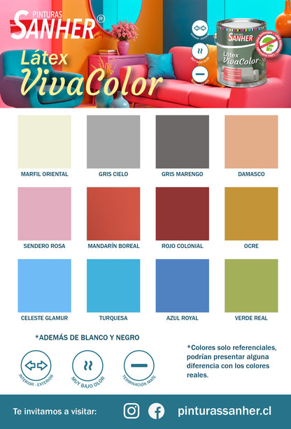 LATEX VIVA COLOR