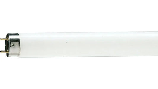TUBO FLUORESCENTE 36W LARGO